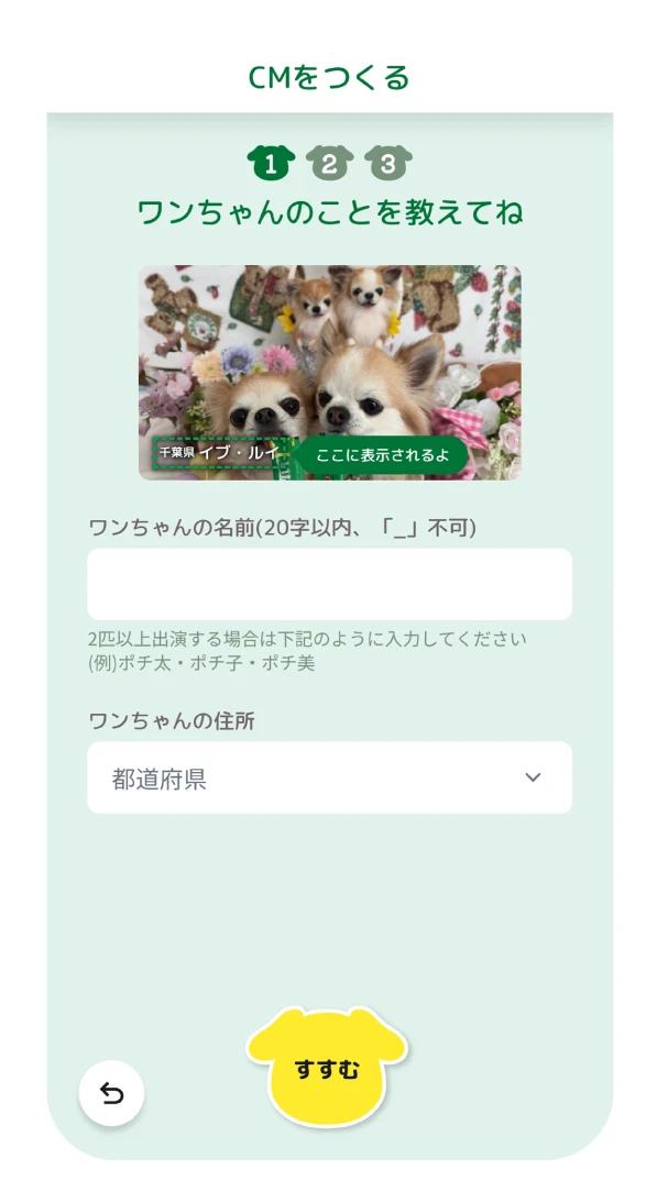 名前と地域を入力する