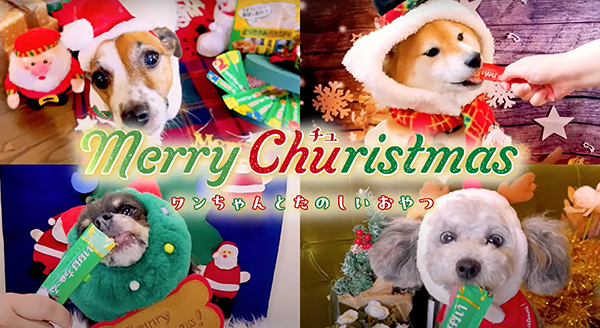 Wanちゅ～る 2023年 クリスマス篇