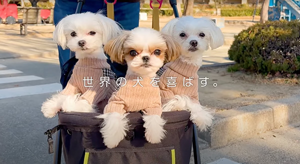 Wanちゅ～る 2023年春 Part3