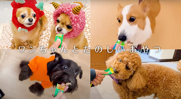 Wanちゅ～る 2023年春 Part4