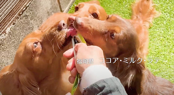 Wanちゅ～る 2025年春 Part3