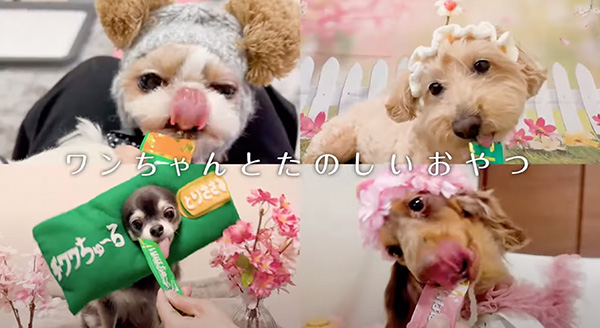 Wanちゅ～る 2025年春 Part5