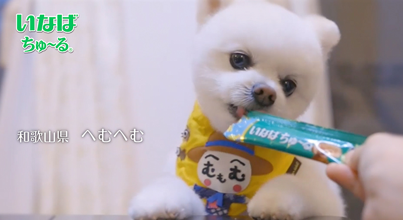 Wanちゅ〜る 2022年春 Part3