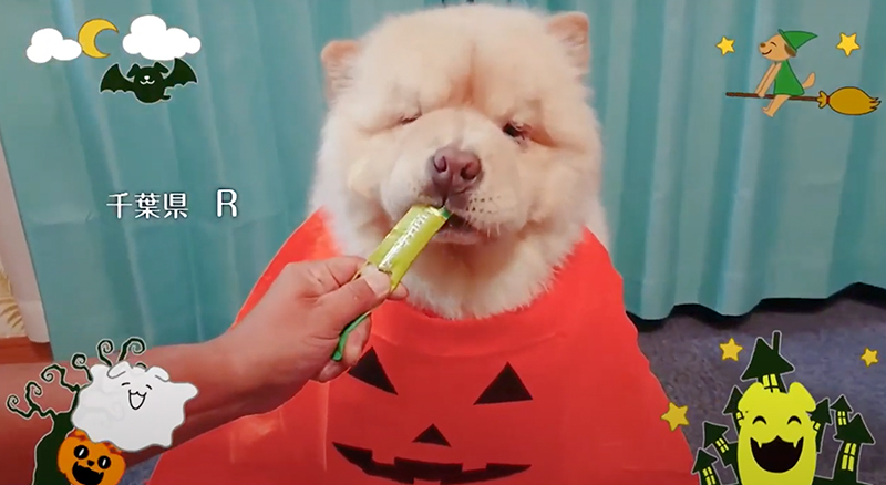 Happy Halloween2020篇