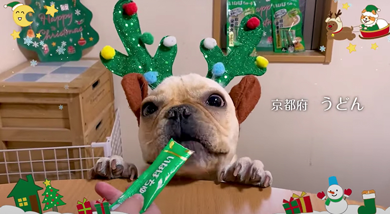 Merry Christmas 2021篇 Part1