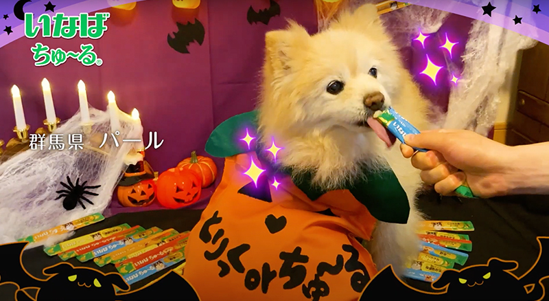 Ｗanちゅ～る 2022年 ハロウィン篇 A