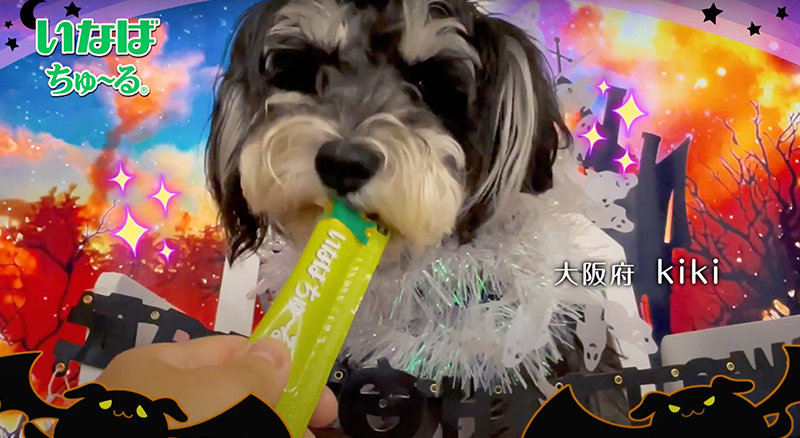 Ｗanちゅ～る 2022年 ハロウィン篇 B