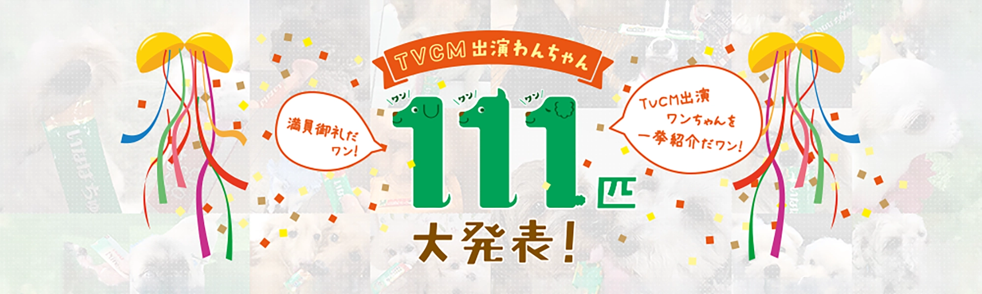 ワンちゅ〜る TVCM 出演ワンちゃん 111匹大発表
