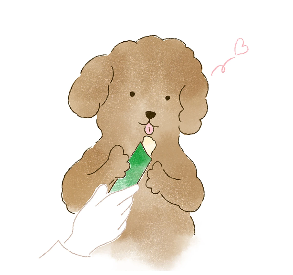 ワンちゃんとのコミュニケーションに