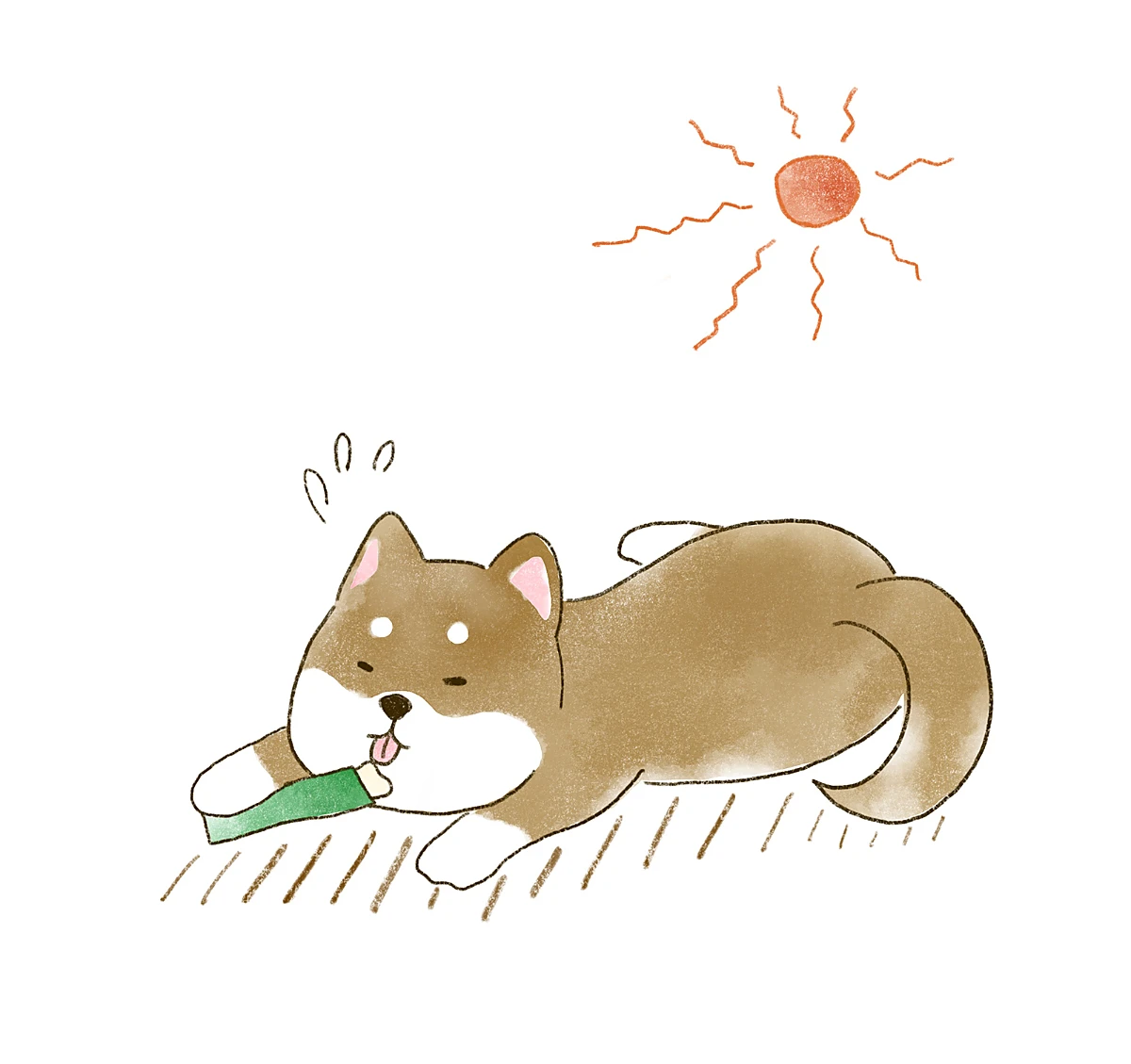ワンちゃんの水分補給に