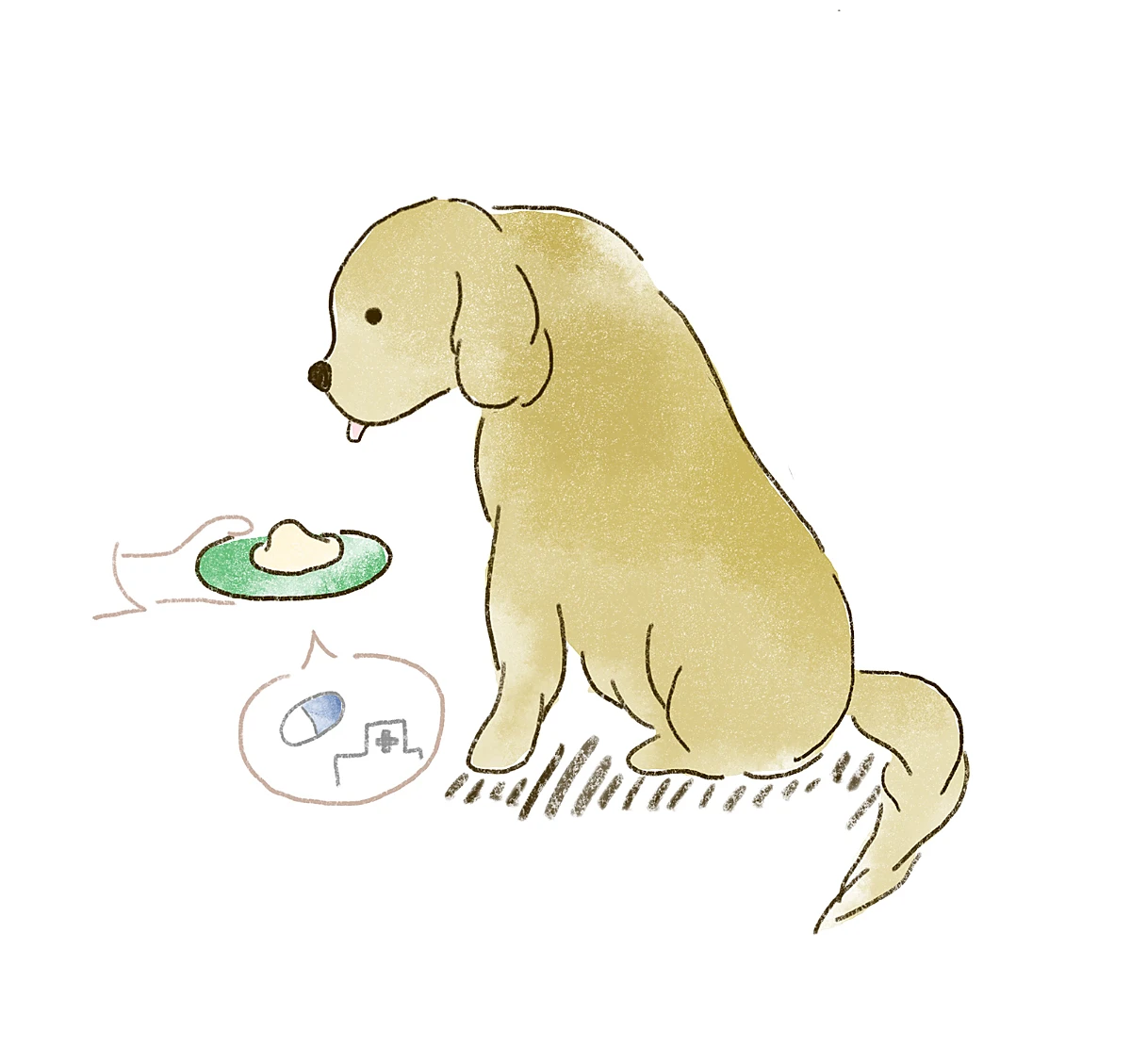 ワンちゃんのお薬時間に